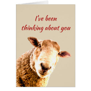 Tankning av Ewe Funny Sheep Animal Humor Hälsningskort