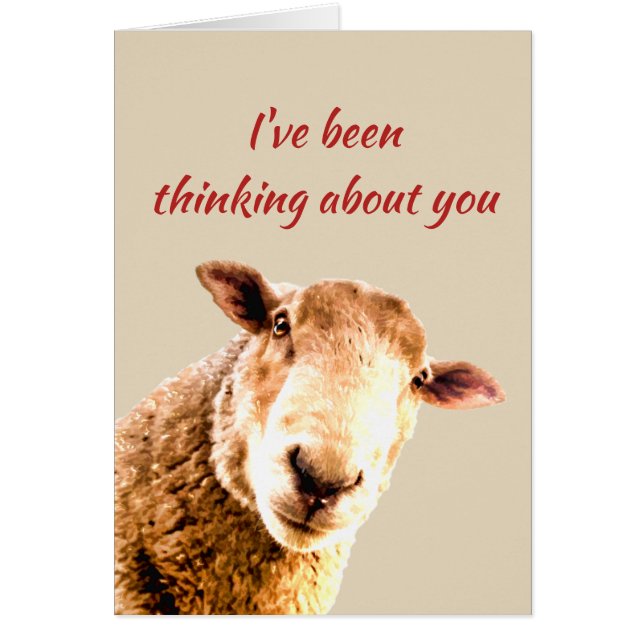 Tankning av Ewe Funny Sheep Animal Humor Hälsningskort (Framsidan)
