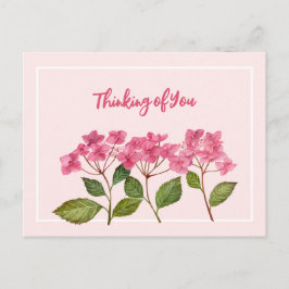 Tankning på din vattenfärgade Rosa Hydrangea Lacec Helg Vykort