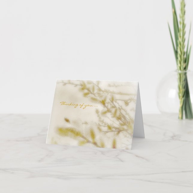 Tankning på ditt kort - Pussy Willow Grenar (Framsida)