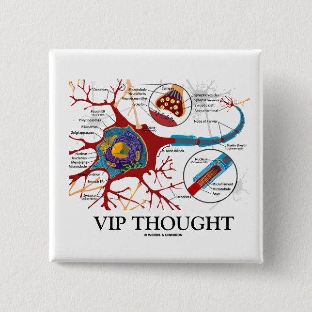 Tänkt VIP (den neuron-/Synapsehumorn) Knapp (Framsida)