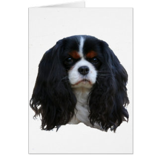 Tansy Hälsningskort