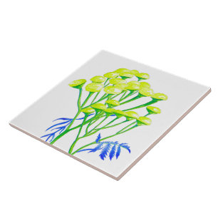 Tansy på en keramik Tile Kakelplatta