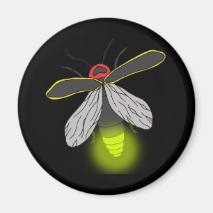 tänt lysmaskflyg magnet