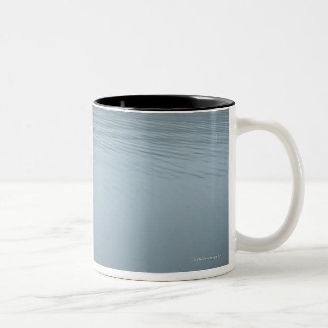 Tanuki-ko sjö Tanuki Två-Tonad Mugg (Höger)