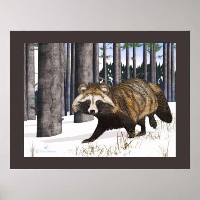 Tanuki - Raccoon Hund Poster (Framsidan)