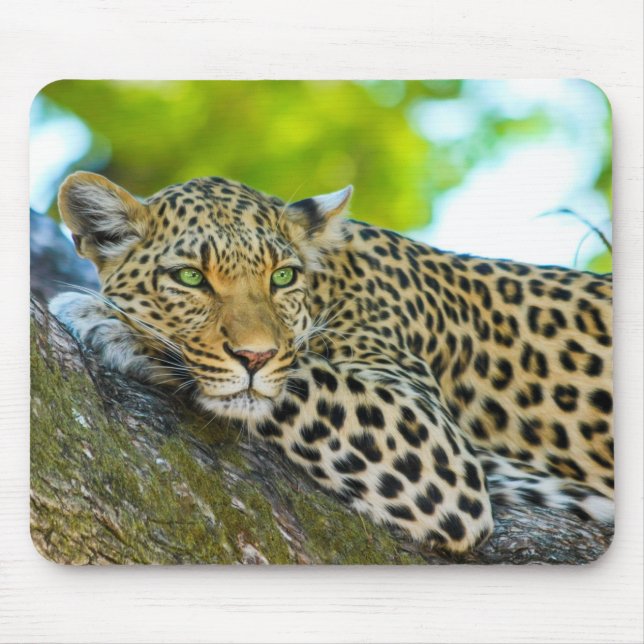 Tanzania Leopard Mouse Pad Musmatta (Framsidan)