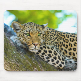 Tanzania Leopard Mouse Pad Musmatta