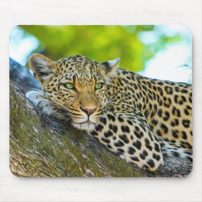 Tanzania Leopard Mouse Pad Musmatta (Framsidan)