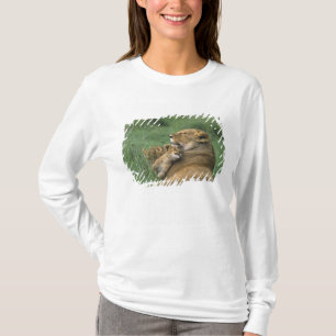 Tanzania, Ngorongoro-kratern. Afrikansk lejonhona Tee Shirt