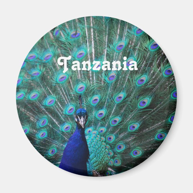 Tanzania Peacock Magnet (Framsidan)