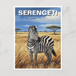 Tanzania Serengeti nationalpark Zebra Vykort