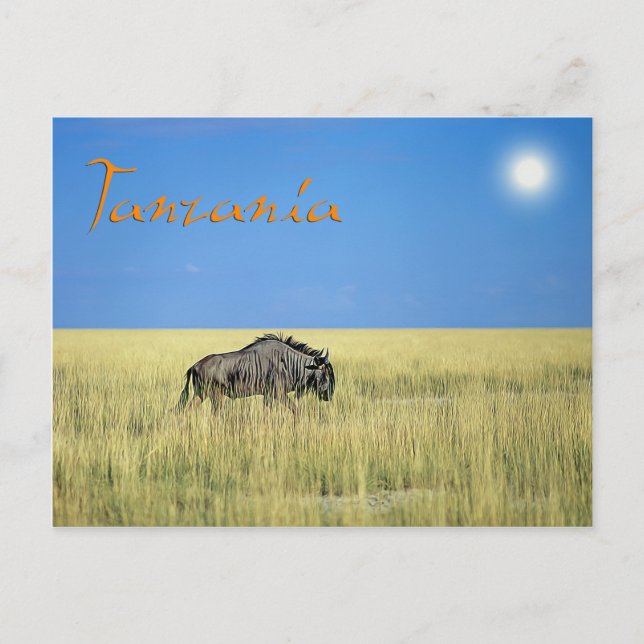 Tanzania Vykort (Framsida)