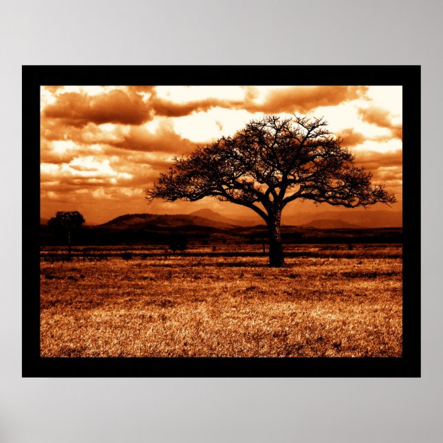 Tanzanian Safari Poster (Framsidan)