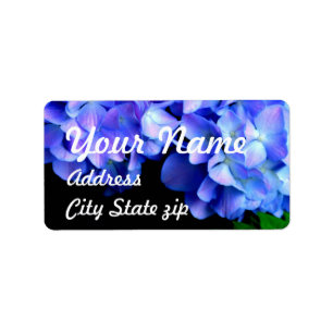 Tanzanite hydrangeas, blåblommor av lila magenta adressetikett