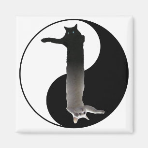 Tao av Longcat Magnet