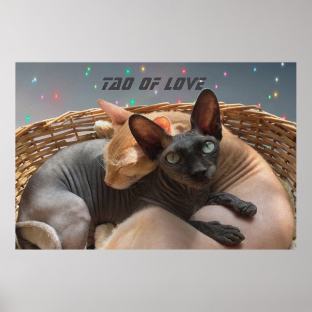 Tao Kärlek - Personligen Två sfärisk katter Poster (Framsidan)