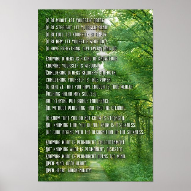 TAO POSTER (Framsidan)