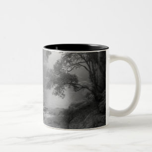 Tao-Te-Ching No.5 /Mugg Två-Tonad Mugg