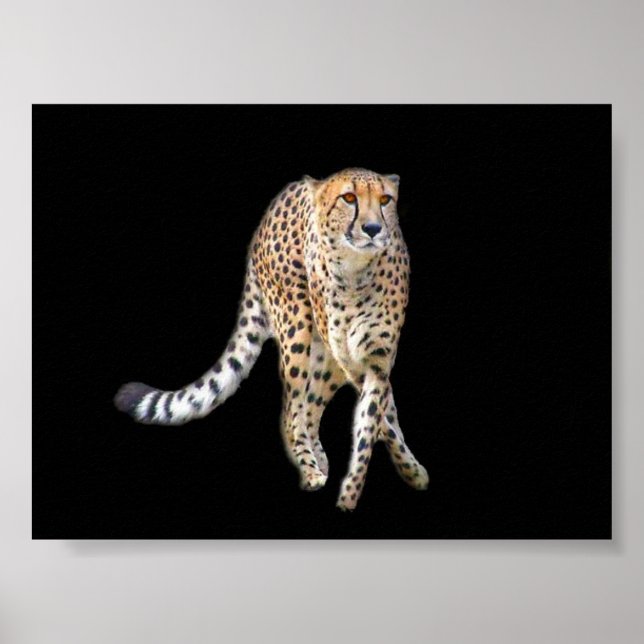 Tap Dance Poster (Framsidan)