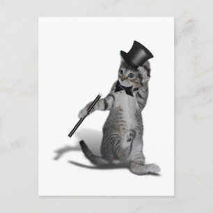 Tap Dancing Cat Vykort