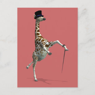 Tap Dancing Giraffe Vykort
