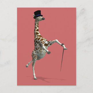 Tap Dancing Giraffe Vykort