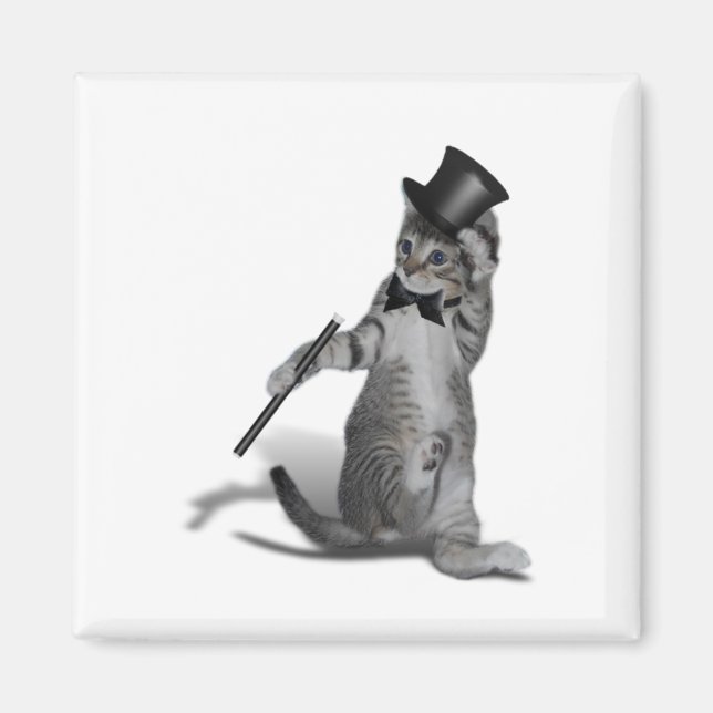 Tap Dancing Kitten Magnet (Framsidan)