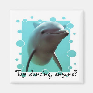 Tap-dans, någon? magnet