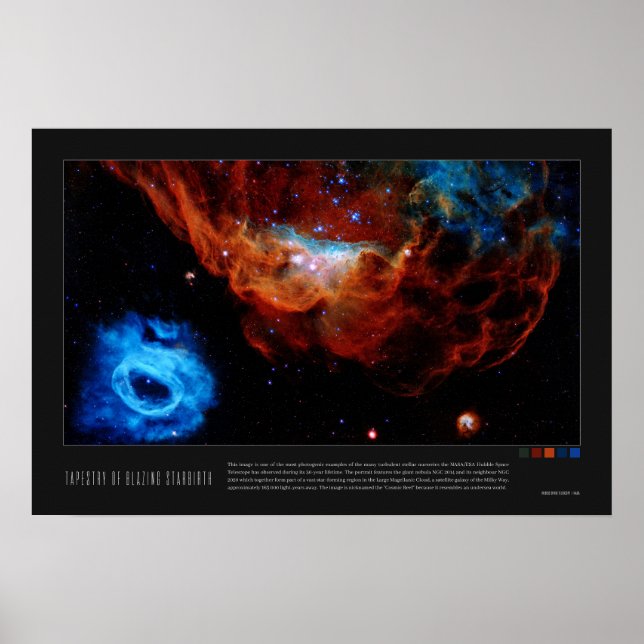 Tapestry of Blazing Starborn (NGC 2014, NGC 2020) Poster (Framsidan)