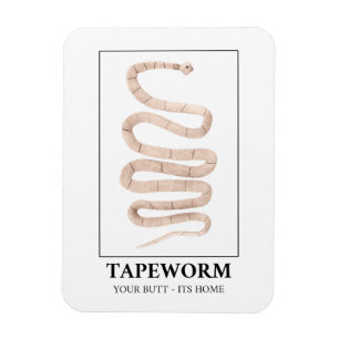Tapeworm din knapp i hemmet magnet