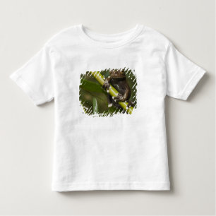 Tapichalaca Träd Frog Hyloscirtus 2 T-shirt