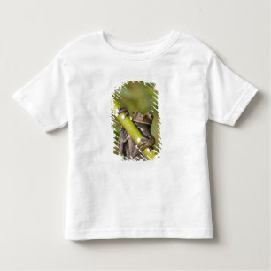 Tapichalaca Träd Frog Hyloscirtus T-shirt