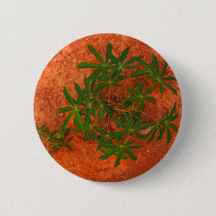 ’Tapioca on Mars’ Knapp
