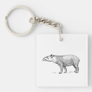 Tapir