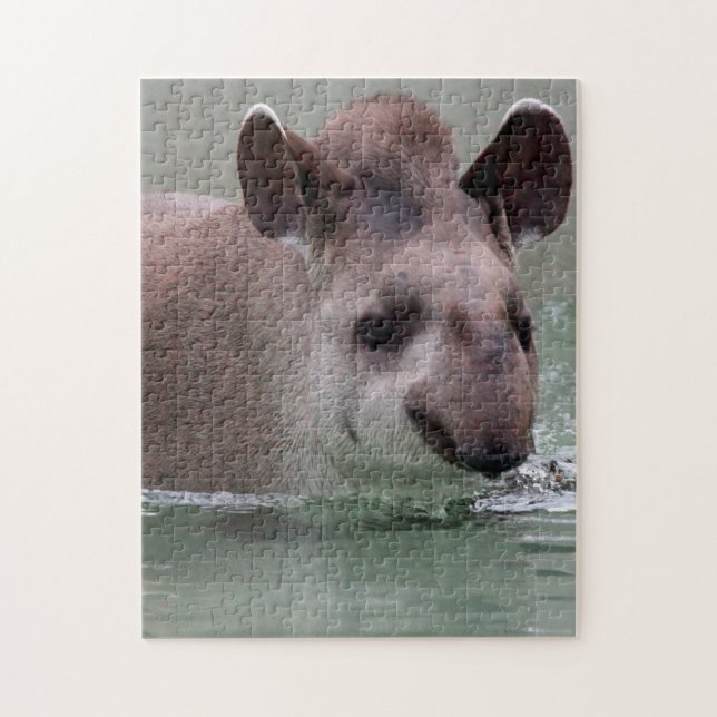 Tapir_2015_0101 Pussel (Vertikal)