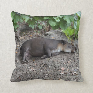 tapir som sovar på sanden kudde