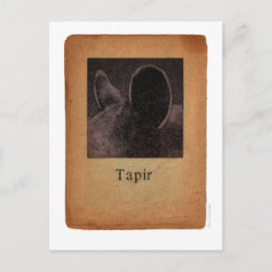 Tapir Vykort
