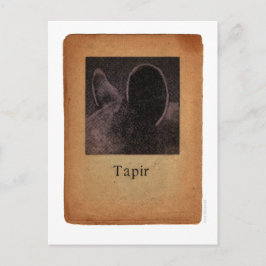 Tapir Vykort