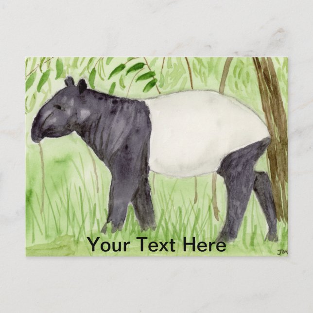 Tapir Vykort (Framsida)
