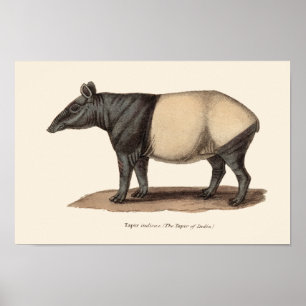TAPIRTRYCK POSTER