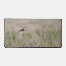 Tapis de bureau motif oiseaux