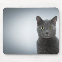 Tapis de souris chat