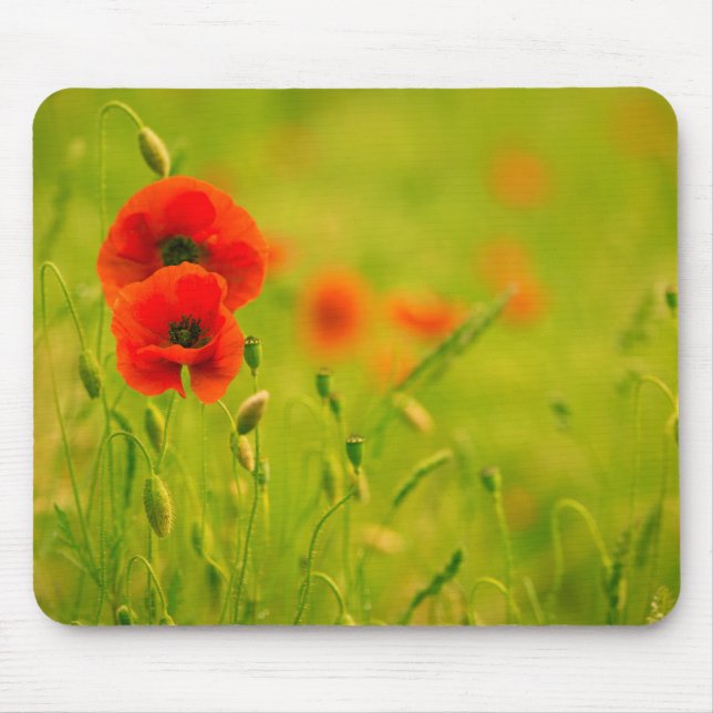 Tapis de souris, Printemps et fleurs de coquelicot Musmatta (Framsidan)