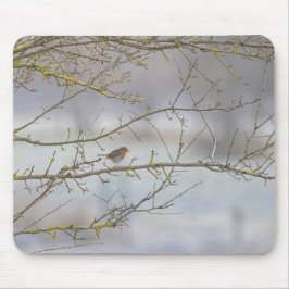 Tapis de souris rouge-gorge musmatta