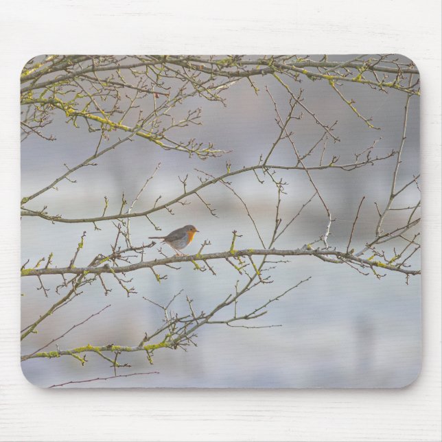 Tapis de souris rouge-gorge musmatta (Framsidan)