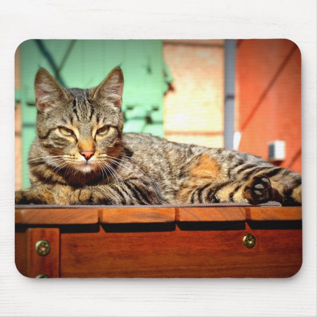 Tapis souris chat tigré sur une table de jardin musmatta (Framsidan)