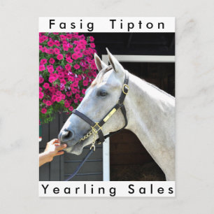 Tapit - Rote Hip nr 140 Vykort