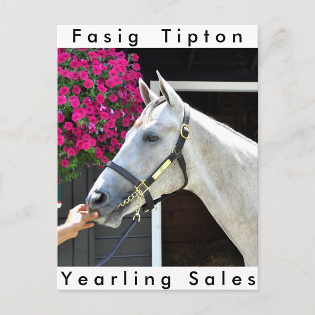 Tapit - Rote Hip nr 140 Vykort (Framsida)