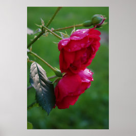 Tappar av regnar poster